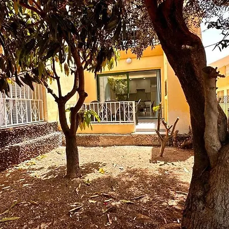 Precioso Y Nuevo De 2 - Mareverde